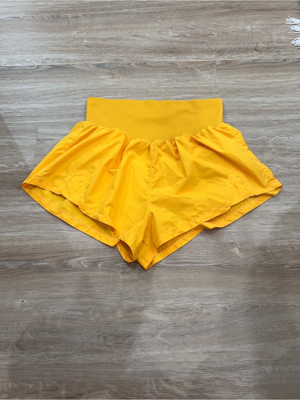 Free People Carpe Diem Shorts